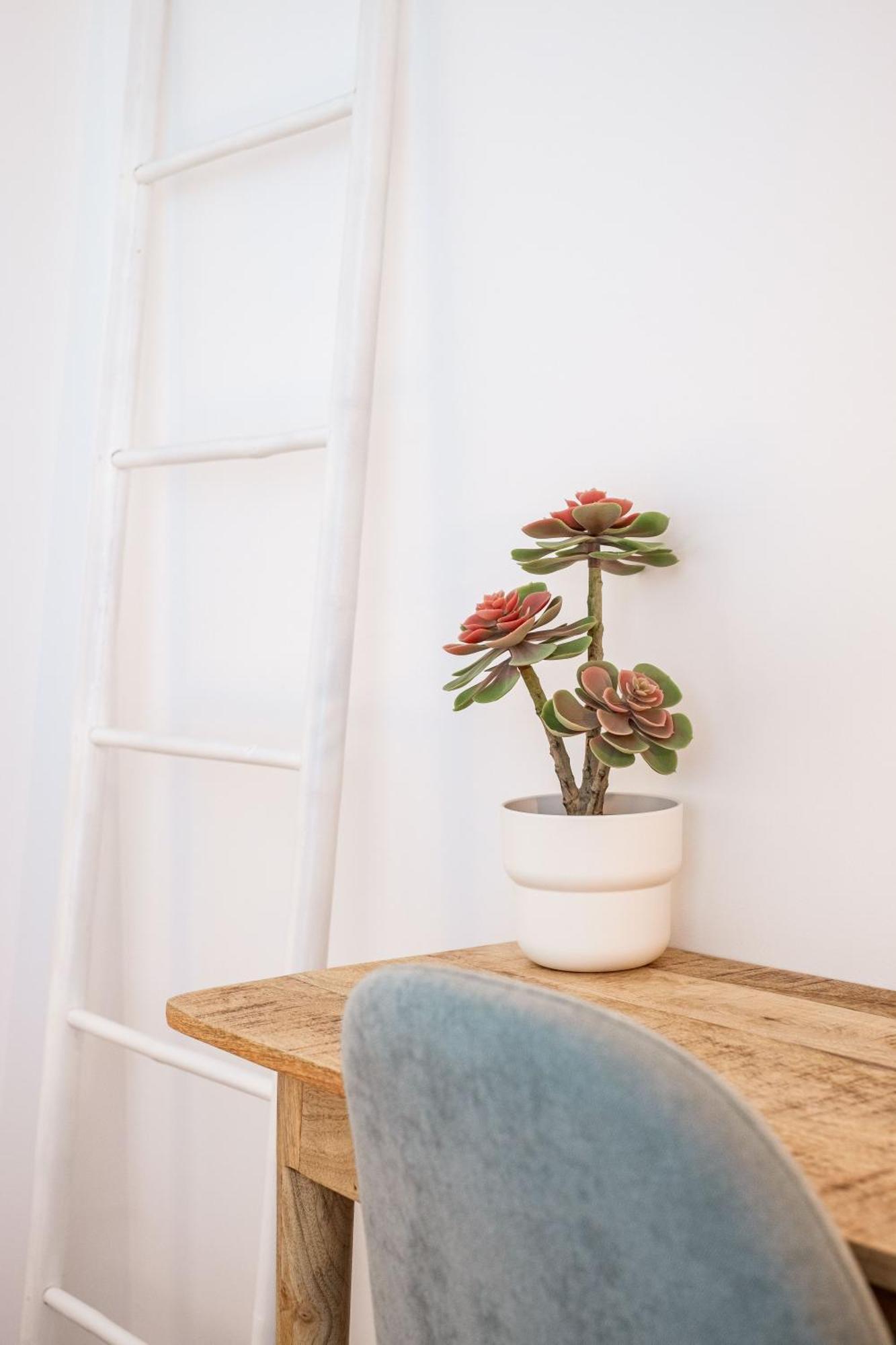 Casa Vica - Sagres Design Apartments Стая снимка
